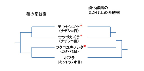 すべての生き物をめぐる１００の系統樹 科学バー