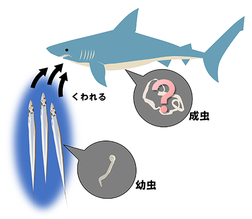あなたのそばに寄生虫 科学バー